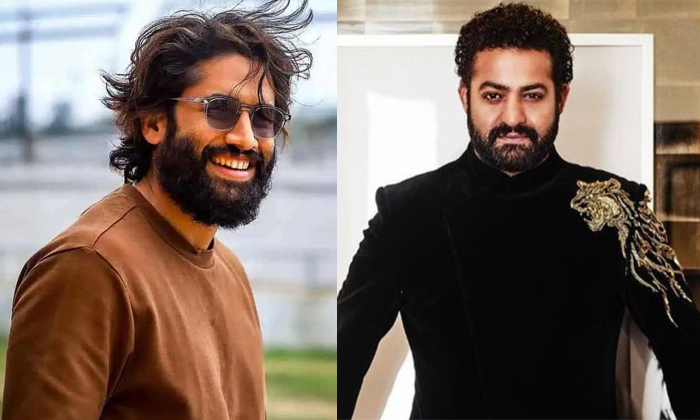 “తాండేల్ హిట్ తరువాత నాగ చైతన్యకు ఎన్టీఆర్ షాకింగ్ సపోర్ట్!”