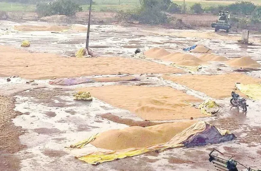 తెలుగు రాష్ట్రాల్లో అకాల వర్షాలు – “వానతో రైతుల ఆశలు నీటిపాలయ్యాయి”